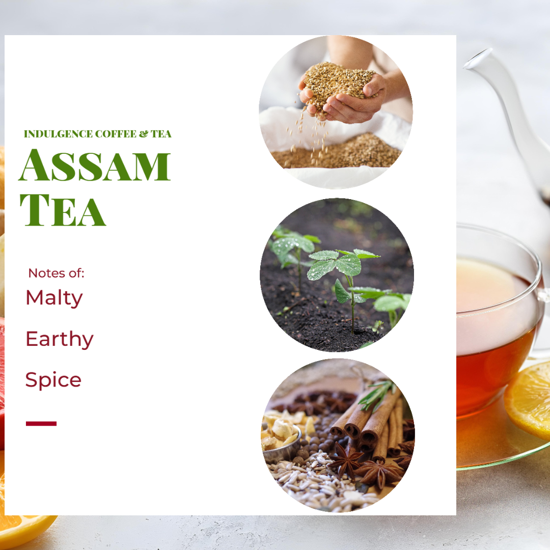 ASSAM SMALL LEAF TEA