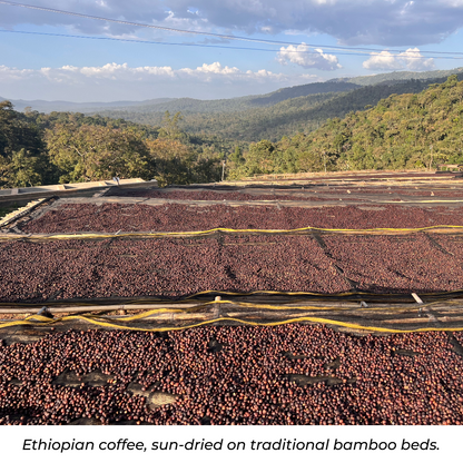 ETHIOPIAN MOCHA DJIMMA - MEDIUM ROAST