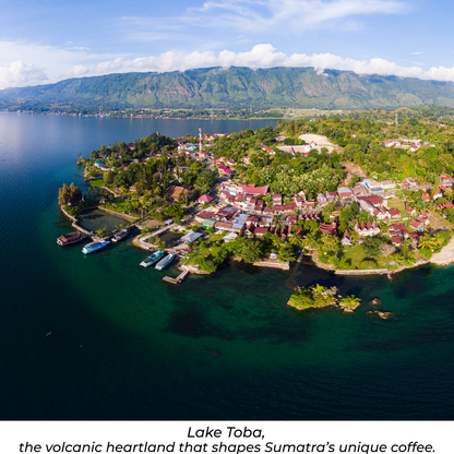 SUMATRA LINTONG TOBA - DARK ROAST